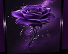 Purple Rose Heart Bundle