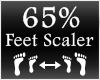 [M] Feet Scaler 65%