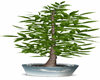 Ocean Potted Tree v1