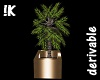 !K!Derivable Potted tree