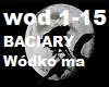 BACIARY -Wodko ma