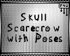 -P- Skull Scarecrow