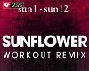 Sunflower Workout Remix
