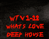 DEEP HOUSE-WHATS LOVE