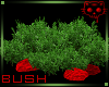 Bush Red 1a Ⓚ