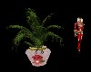 {J} Fern w/Rose Vase