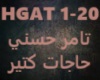 Tamer Hosny-Hagat Keteir