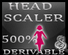 500% Head Resizer