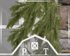 Pine Garland V1
