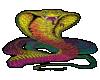 Colorful Cobra