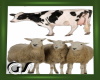 GS Sheep/Cow Filler