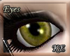 KE~ Golden Doll Eyes