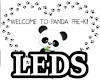 LEDF Panda PreSchool