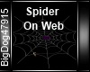 [BD] Spider On Web