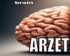 .A. Brain