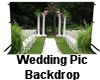 (MR)Wedding Pic Backdrop