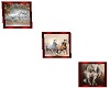 pics of horses