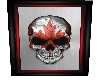 Canada Skull Pic