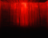 Deep Red Woods Bg