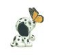 Dalmation Butterfly
