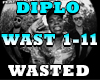 DIPLO-WASTED