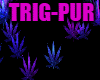 purple weed particles