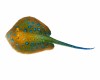 Animated  STING RAY