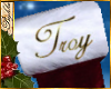 I~Stocking*Troy