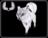 ANIMATED WHITE FOX