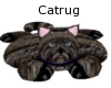 cat rug