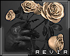 R║ Gold Roses