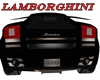 Lamborghini - Marina
