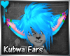 D~Kubwa Ears: Blue(M/F)