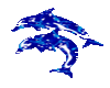 Dolphin (gif)
