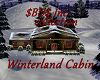 $BD$ Winterland Cabin