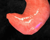 Exclusive Stomach F