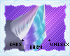 ꨄStacy Earsꨄ