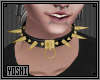 Gold and Black Collar