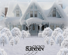 S3N - Snowy Photoroom