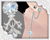 ☾ Winter Jewels