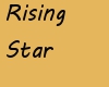 ES 2013 Rising Star