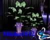 [M] purple potted plant
