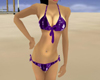 summer purple bikini