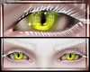 Satan Yellow Eyes 2018