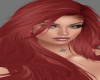 HAIR -RUIVO-REDHEAD 1354