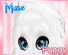 [Pup] Moumoon Pearl M