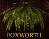 Foxworth Hanging Fern