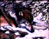 Slumber Wolf Picture