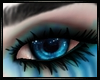 Harley Quinn Eyes