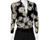 EASTER DAISY